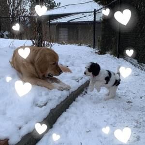 Meet your Posher, Kathy